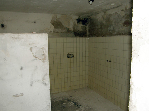 Foto 42